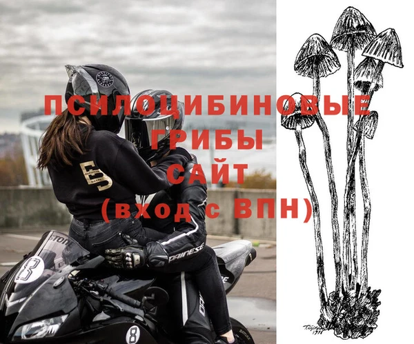 ALPHA-PVP Алексин